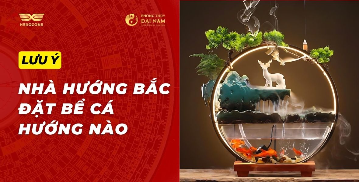 Nếu nhà hướng Bắc đặt bể cá hướng nào?