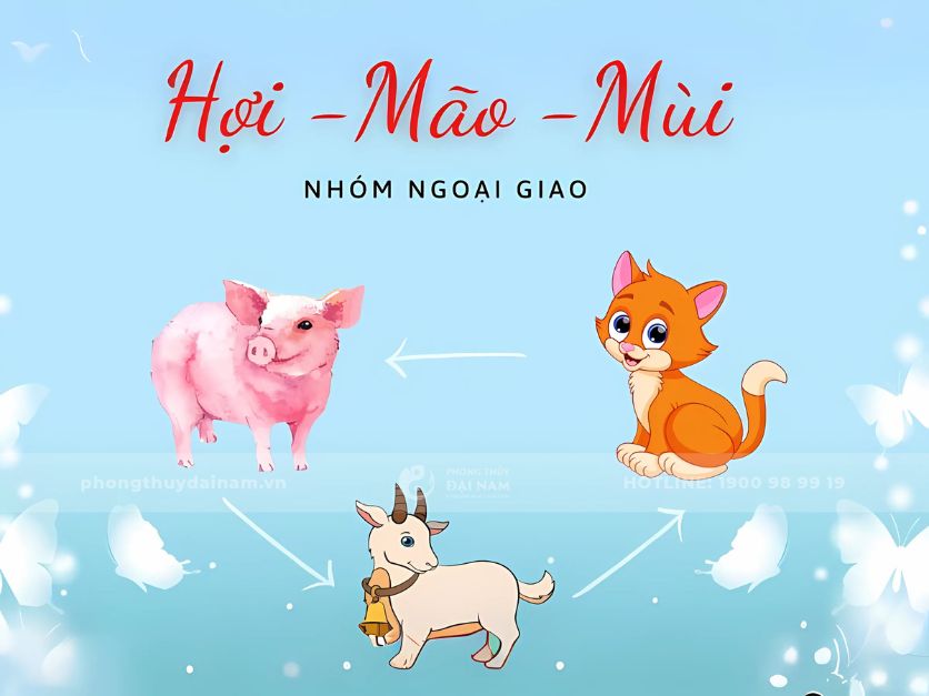 Tam hợp Hợi - Mão - Mùi